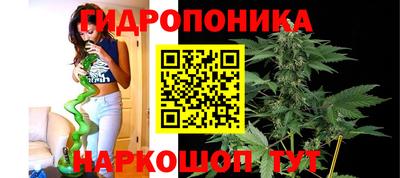 винт Донецк